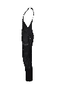 sl.webp