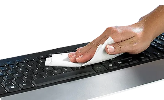 1466.webp