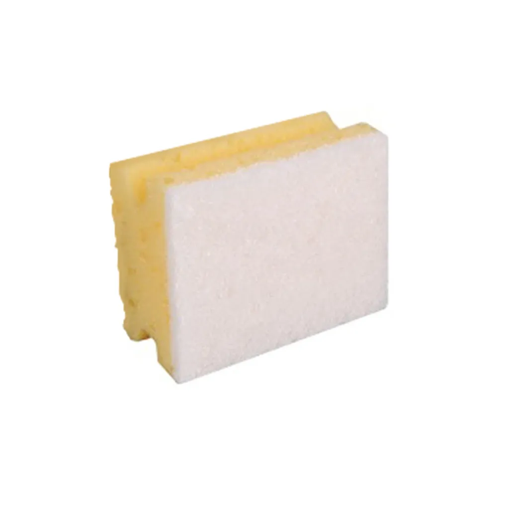 Reinigungsschwämme Profi klein, 10er Pack