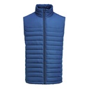 Arches Vest